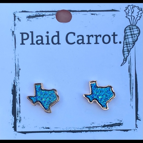 NEW- Texas shimmer earrings - Picture 1 of 1